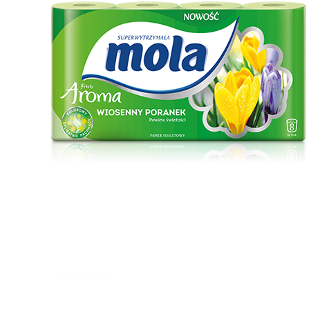TOILETTENPAPIER FRISCHES AROMA mit Frühlingsmorgen in Grün | 8 Rollen